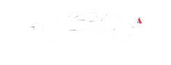 Auto Inspection Pro